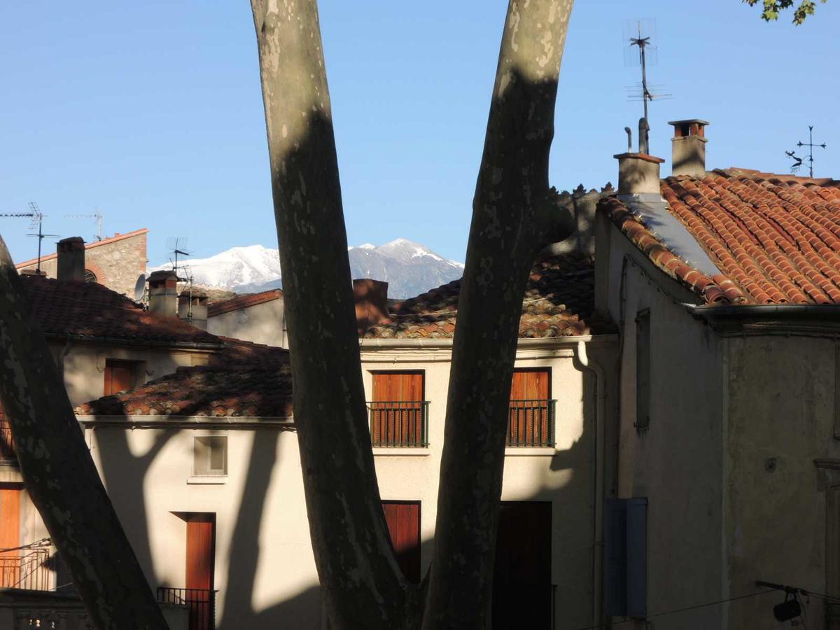 Hotel Des Arcades Ceret Bagian luar foto